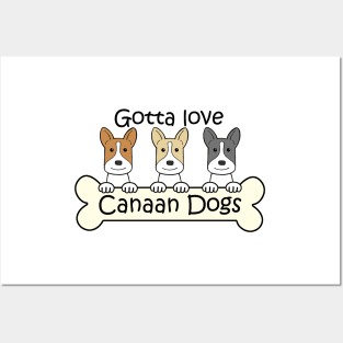 Gotta Love Canaan Dogs Posters and Art